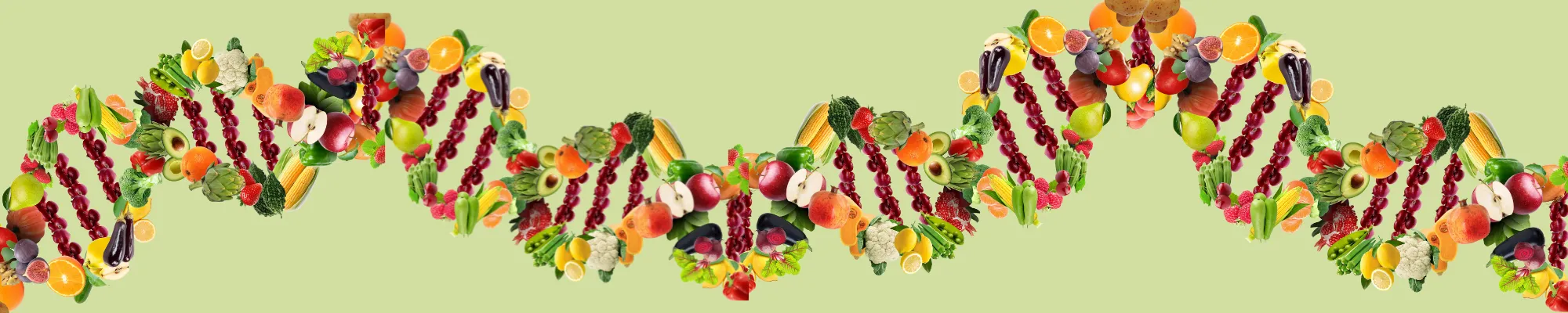 Test de nutrigenética